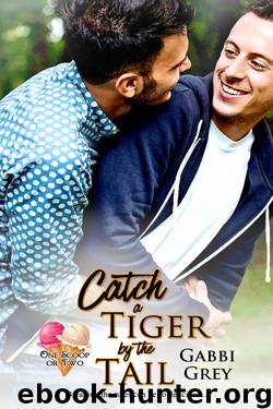 Catch a Tiger by the Tail by Gabbi Grey