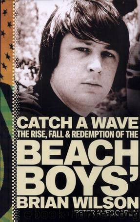 Catch a Wave: The Rise, Fall & Redemption of the Beach Boys' Brian Wilson by Peter Ames Carlin