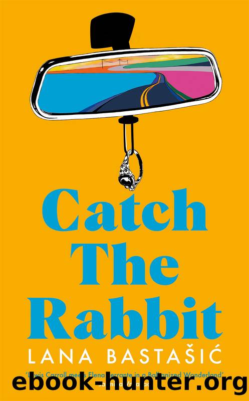 Catch the Rabbit by Lana Bastašic