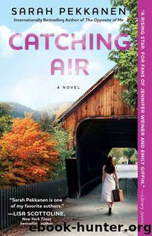 Catching Air by Sarah Pekkanen
