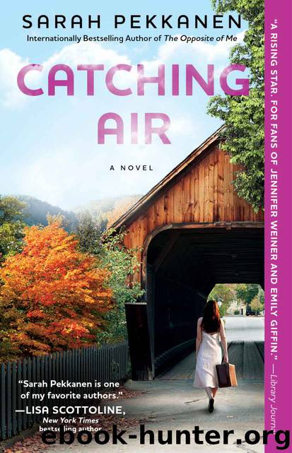 Catching Air: A Novel by Sarah Pekkanen