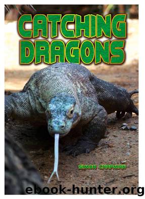 Catching Dragons by Simon Chapman