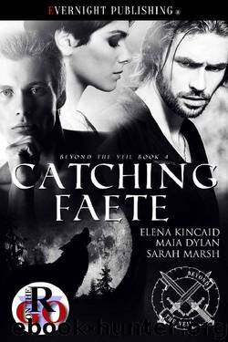 Catching Faete (Beyond the Veil Book 4) by Elena Kincaid & Maia Dylan & Sarah Marsh