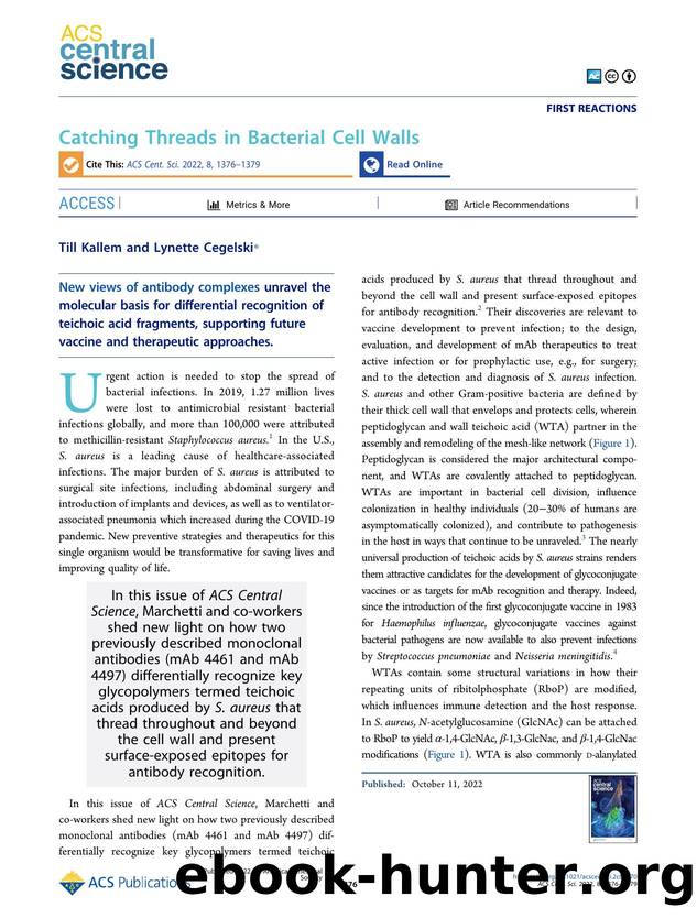 Catching Threads in Bacterial Cell Walls by Till Kallem & Lynette Cegelski (ORCID: g/0000-0002-0978-1814)