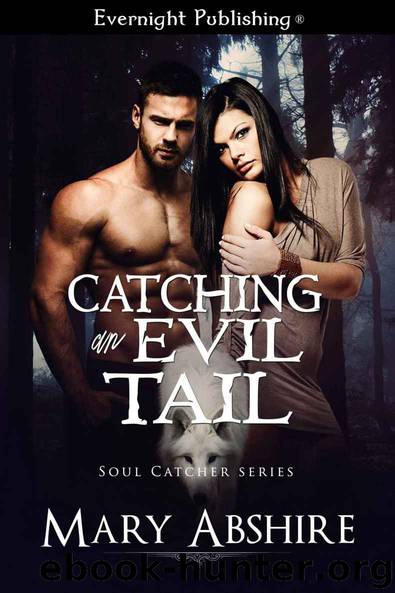 Catching an Evil Tail (Soul Catcher Book 2) by Mary Abshire