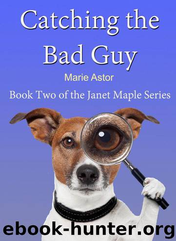 Catching the Bad Guy (Book Two) (Janet Maple Series) by Astor Marie