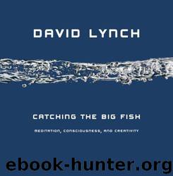 Catching the Big Fish: Meditation, Consciousness, and Creativity by David Lynch