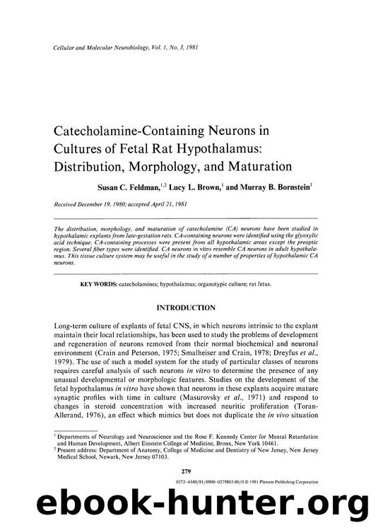 Catecholamine-containing neurons in cultures of fetal rat hypothalamus: distribution, morphology, and maturation by Unknown