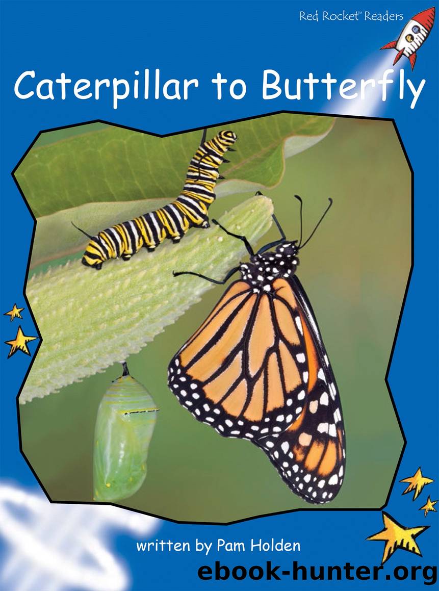 Caterpillar to Butterfly by Pam Holden