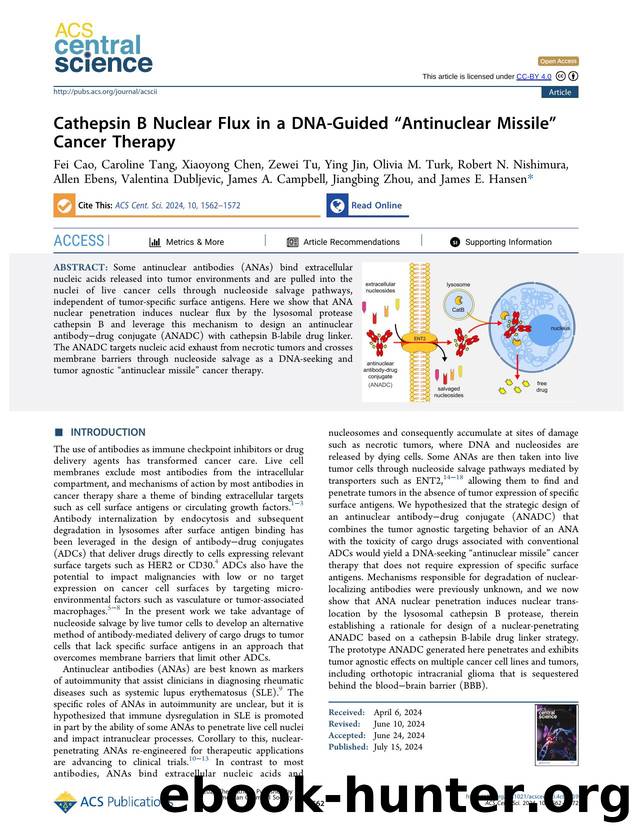 Cathepsin B Nuclear Flux in a DNA-Guided âAntinuclear Missileâ Cancer Therapy by unknow