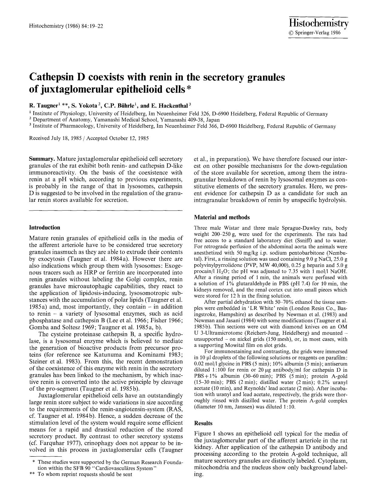 Cathepsin D coexists with renin in the secretory granules of juxtaglomerular epithelioid cells by Unknown