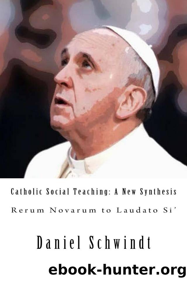 Catholic Social Teaching: A New Synthesis (Rerum Novarum to Laudato Si') by Schwindt Daniel