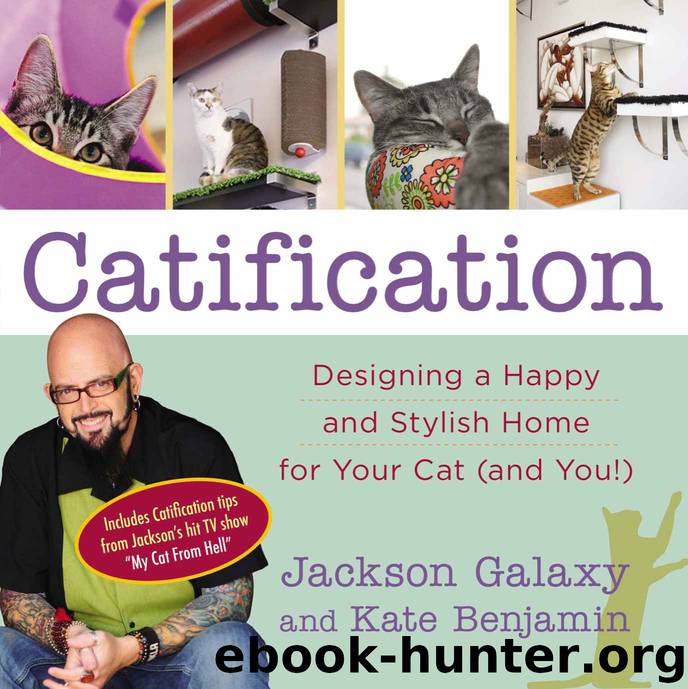 Catification: Designing a Happy and Stylish Home for Your Cat (and You!) by Jackson Galaxy & Kate Benjamin