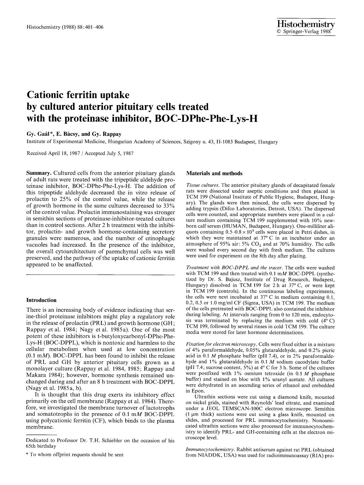 Cationic ferritin uptake by cultured anterior pituitary cells treated with the proteinase inhibitor, BOC-DPhe-Phe-Lys-H by Unknown