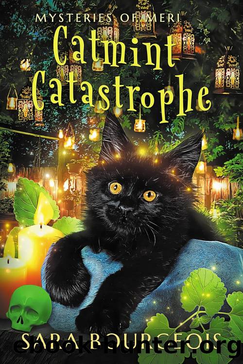 Catmint Catastrophe by Sara Bourgeois
