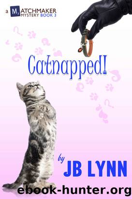 Catnapped! by J. B. Lynn