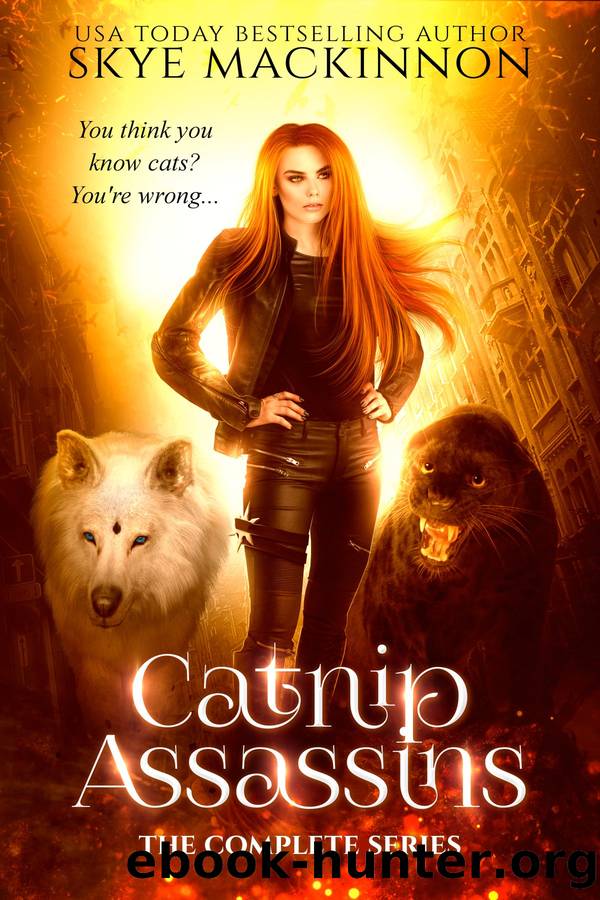 Catnip Assassins by Skye MacKinnon