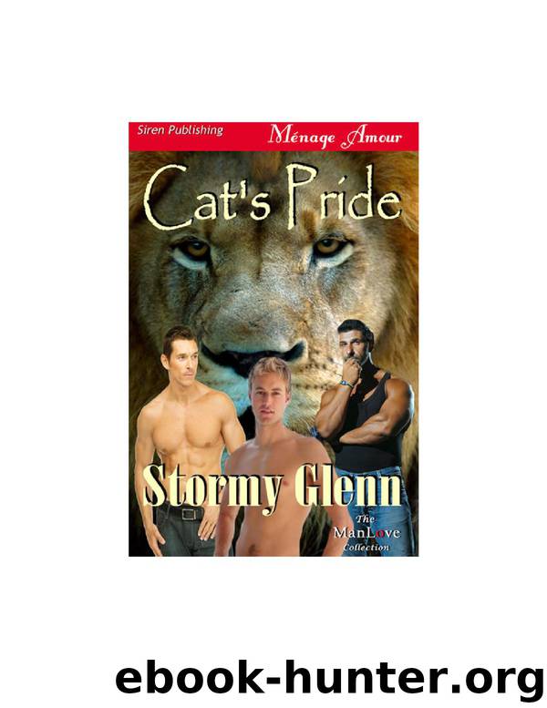 Cats Pride by Stormy Glenn
