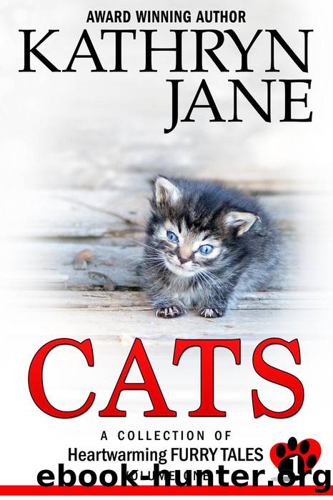 Cats Volume 1 by Kathryn Jane