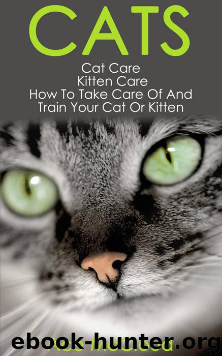 Cats by Ace McCloud