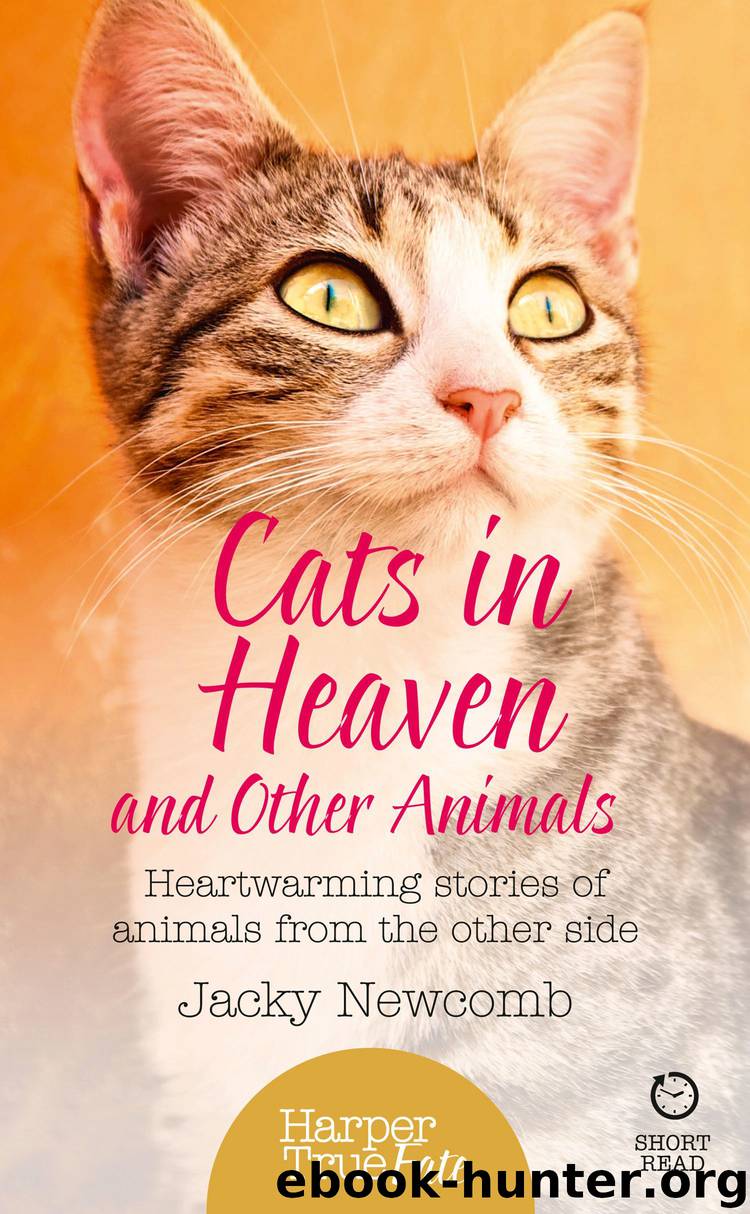 Cats in Heaven: And Other Animals. Heartwarming stories of animals from the other side. (HarperTrue Fate – A Short Read) by Jacky Newcomb
