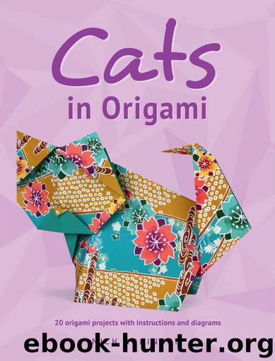 Cats in Origami by Nick Robinson