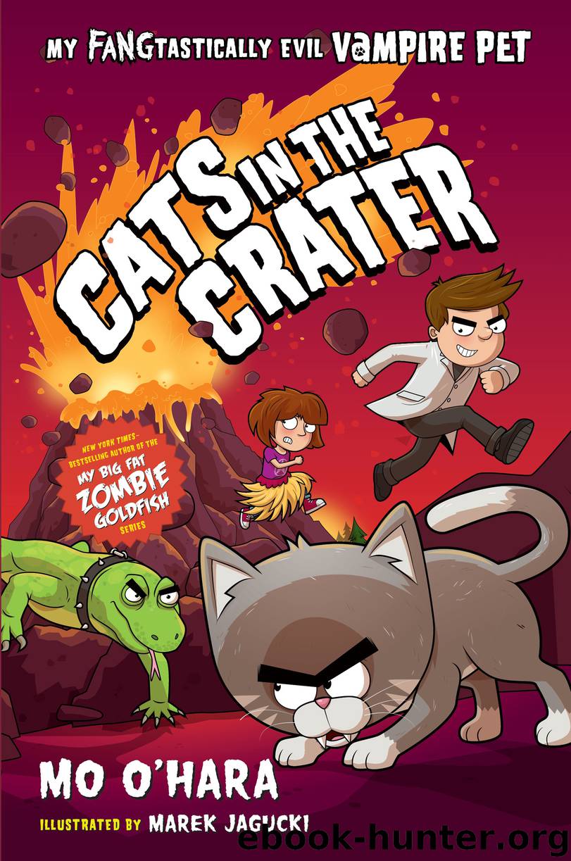 Cats in the Crater by Mo O'Hara