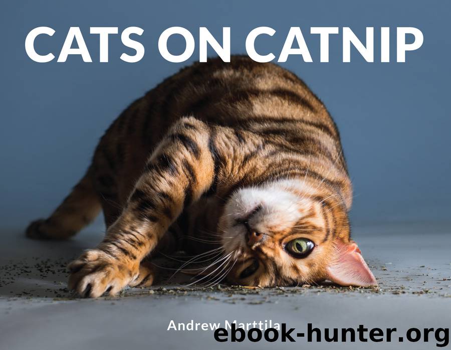 Cats on Catnip by Andrew Marttila