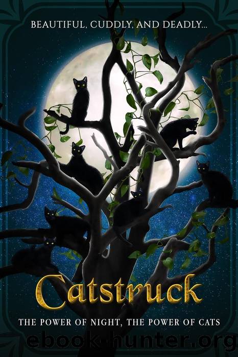 Catstruck by unknow