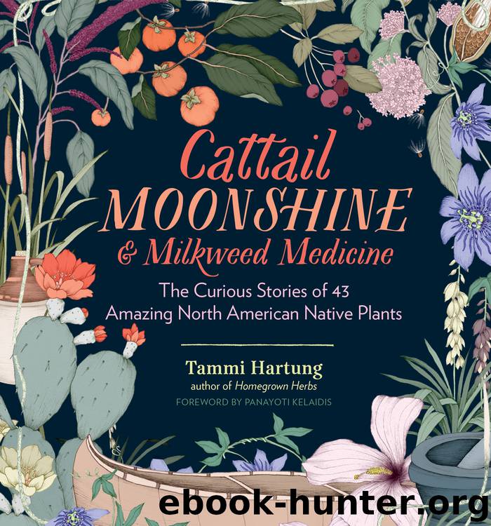 Cattail Moonshine & Milkweed Medicine by Tammi Hartung