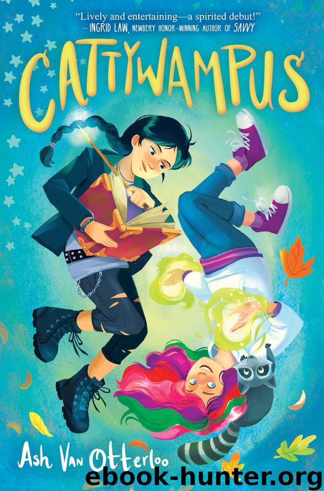 Cattywampus by Ash Van Otterloo