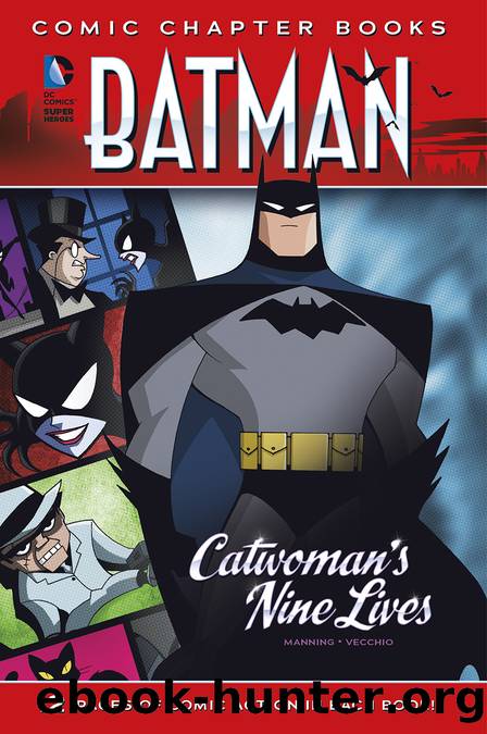 Catwoman's Nine Lives by Matthew K. Manning