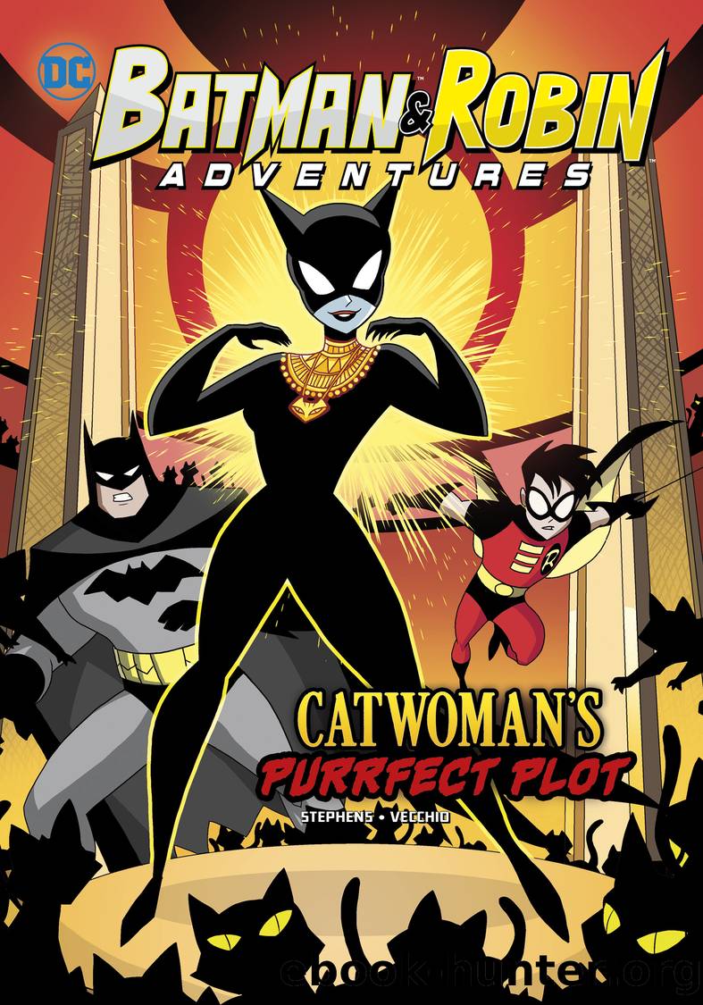 Catwoman's Purrfect Plot by Luciano Vecchio
