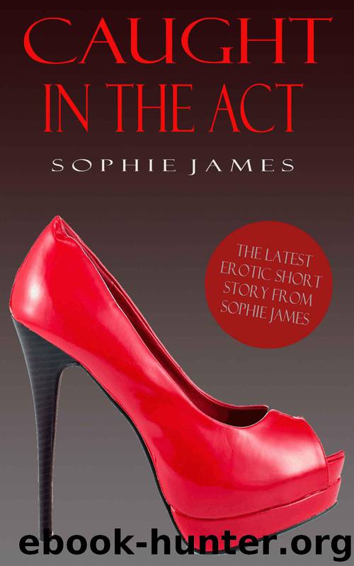 Caught In The Act - An Erotic Short Story (Erotika For Women) by Sophie James