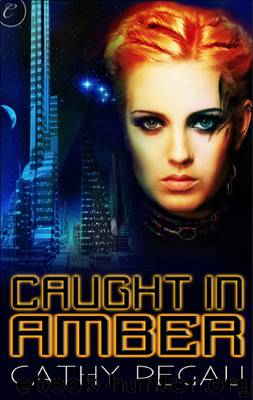 Caught in Amber by Pegau Cathy