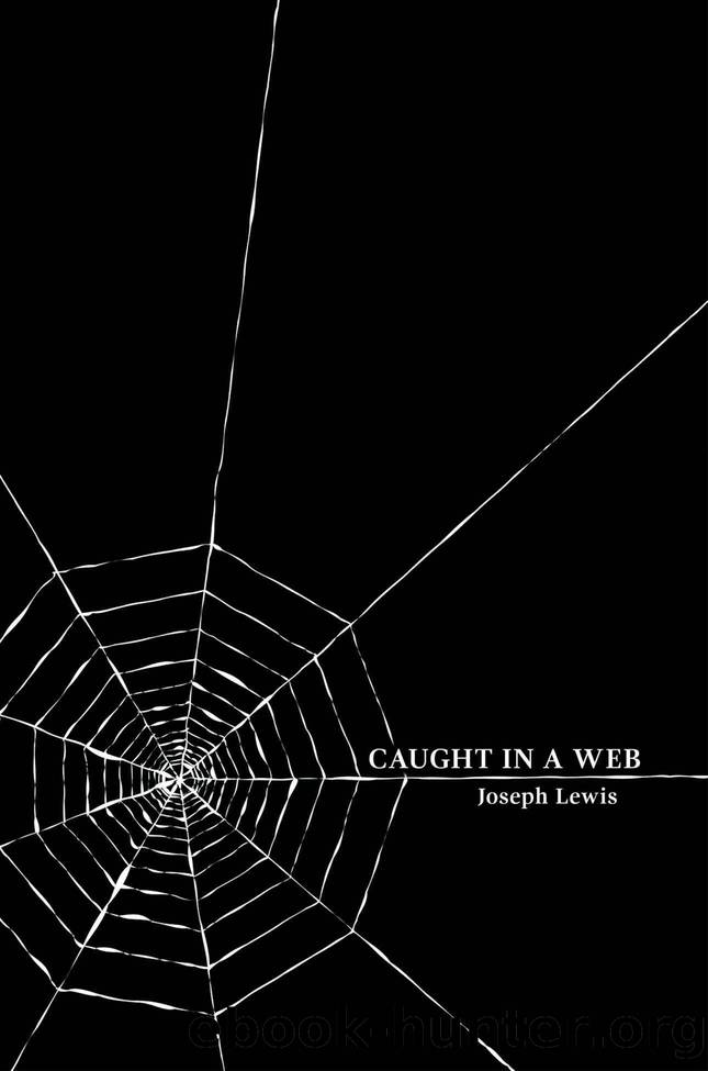 Caught in a Web by Joseph Lewis