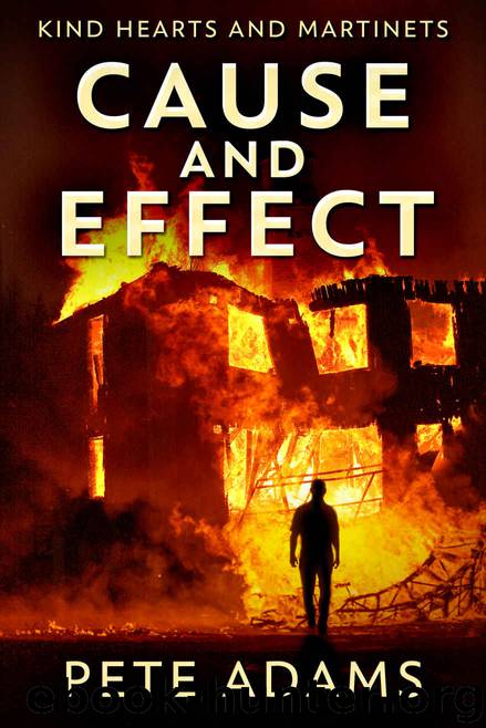 Cause And Effect by Pete Adams