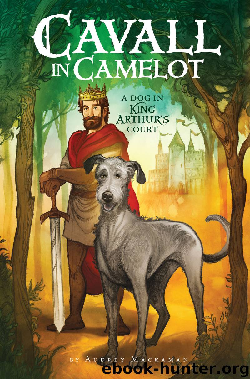 Cavall in Camelot #1 by Audrey Mackaman