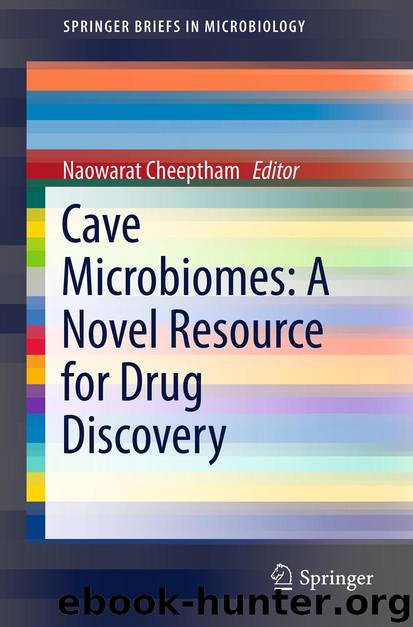 Cave Microbiomes: A Novel Resource for Drug Discovery by Naowarat Cheeptham