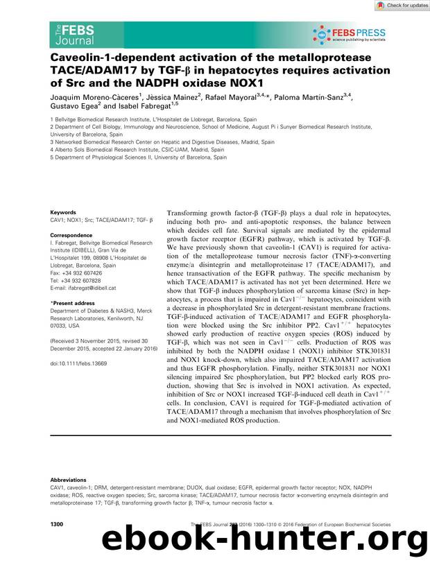 Caveolinâ1âdependent activation of the metalloprotease TACEADAM17 by TGFâÎ² in hepatocytes requires activation of Src and the NADPH oxidase NOX1 by Unknown
