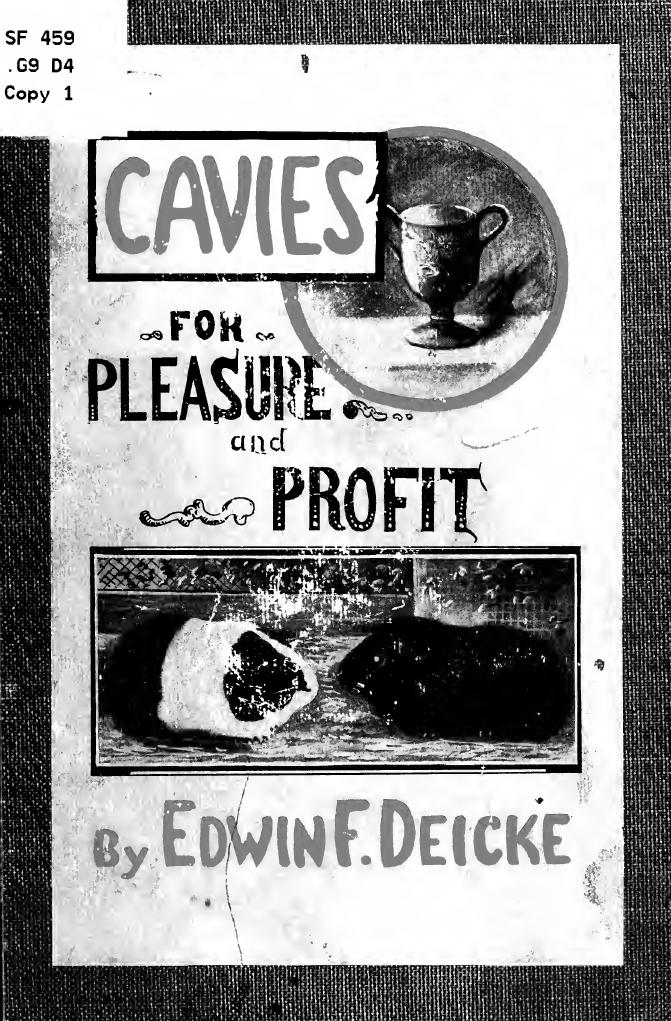 Cavies for pleasure and profit .. by Deicke Edwin Frederick William 1890-