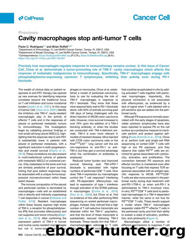 Cavity macrophages stop anti-tumor T&nbsp;cells by Paulo C. Rodriguez & Brian Ruffell