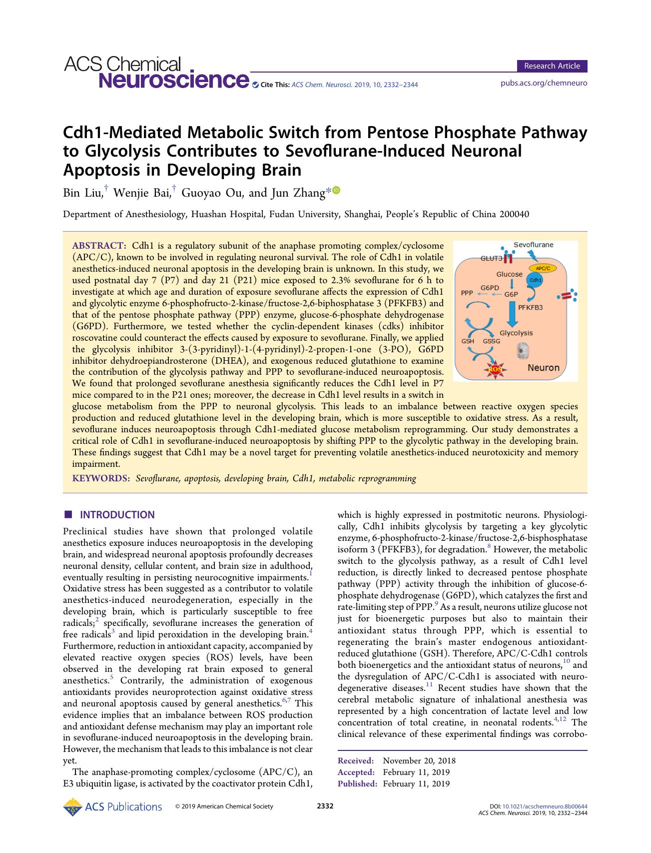 Cdh1-Mediated Metabolic Switch from Pentose Phosphate Pathway to Glycolysis Contributes to Sevoflurane-Induced Neuronal Apoptosis in Developing Brain by Bin Liu Wenjie Bai Guoyao Ou and Jun Zhang