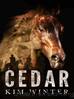 Cedar by Kim Winter