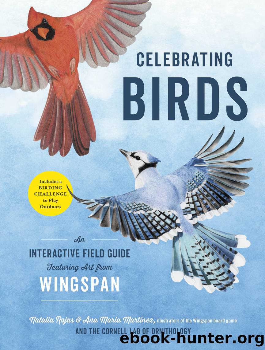Celebrating Birds by Natalia Rojas