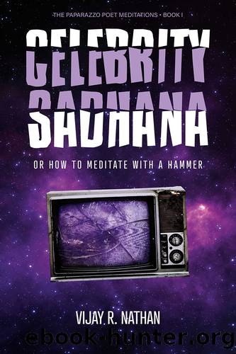 Celebrity Sadhana: Or How to Meditate With a Hammer by Vijay R. Nathan