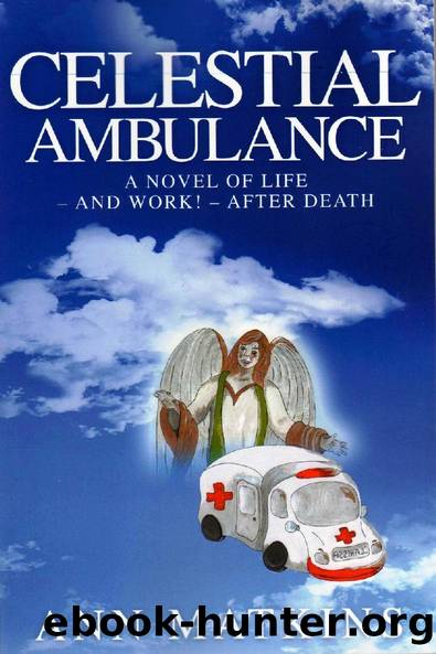 Celestial Ambulance by Ann Matkins