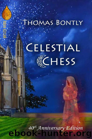 Celestial Chess by Thomas Bontly
