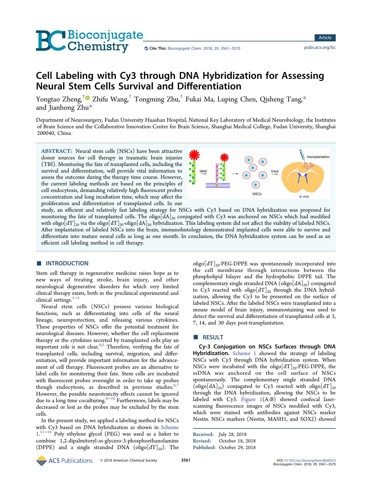 Cell Labeling with Cy3 through DNA Hybridization for Assessing Neural Stem Cells Survival and Differentiation by unknow