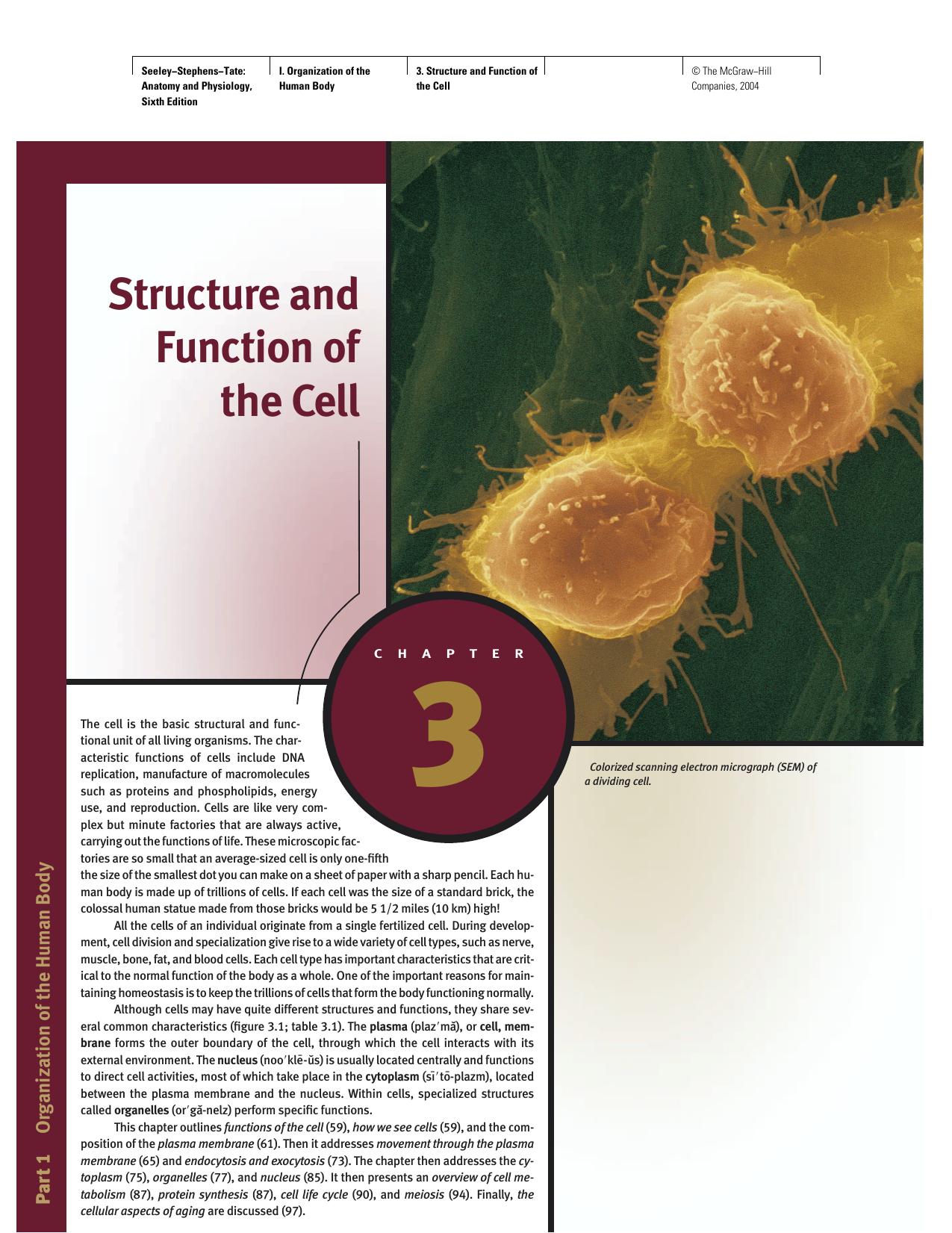 Cell Structure & Function by pdf by Unknown